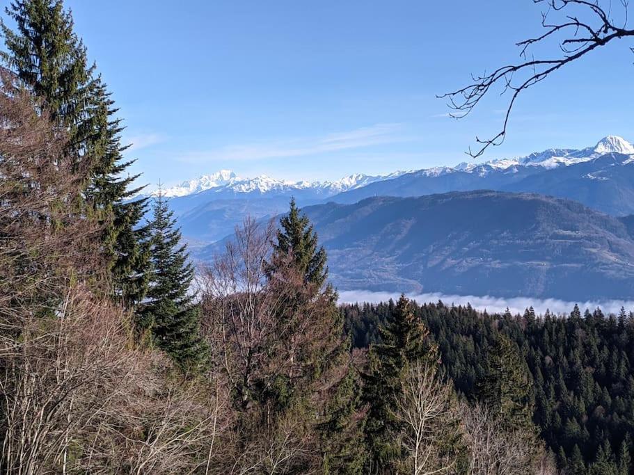 Maison Familiale En Montagne Avec Vue Merveilleuse Sur Le Massif De Belledonne Saint-Bernard  Экстерьер фото
